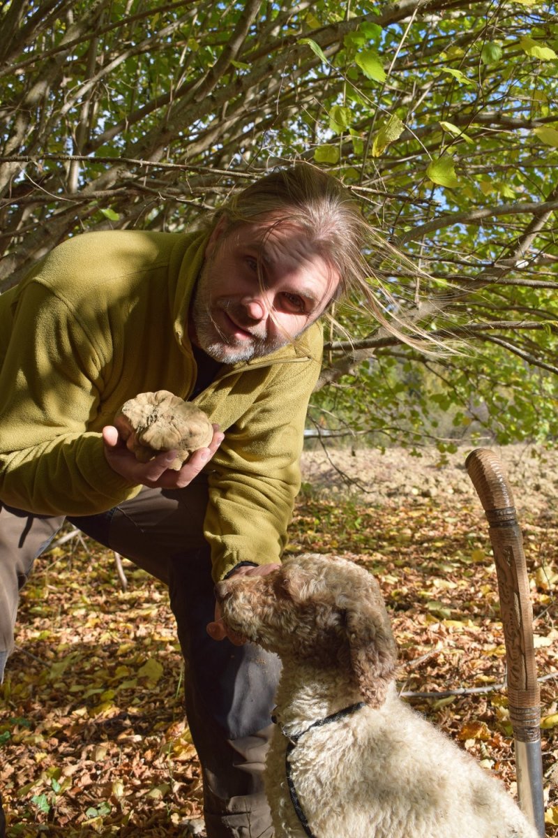 Η δεύτερη μεγαλύτερη ποσότητα λευκής τρούφας βρέθηκε στη Βόρεια Ελλάδα