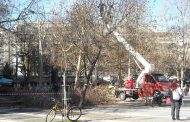 Λάρισα: Κλαδέματα δέντρων στο κέντρο