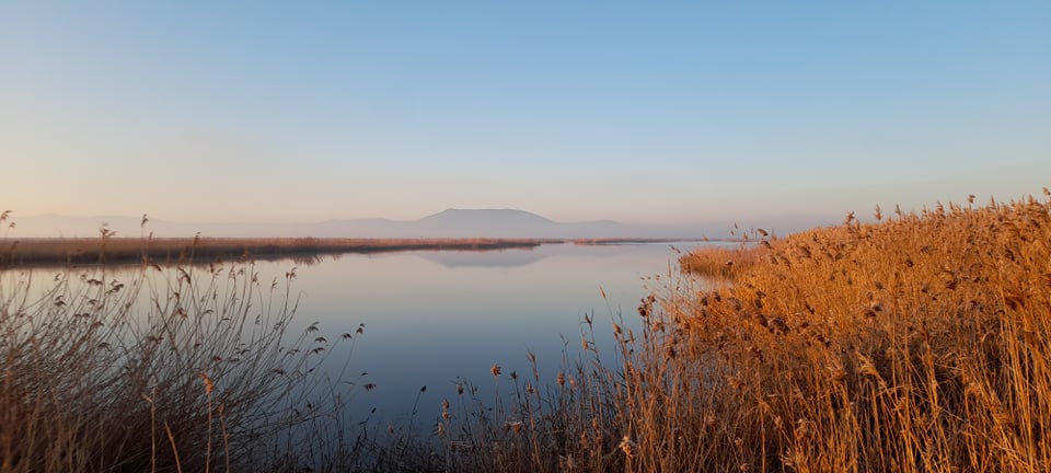 40 είδη πτηνών καταγράφηκαν στην Κάρλα