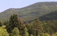 Κι επίσημα εθνικό πάρκο ο Όλυμπος