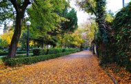Πόσο «πράσινη» πόλη είναι η Λάρισα;