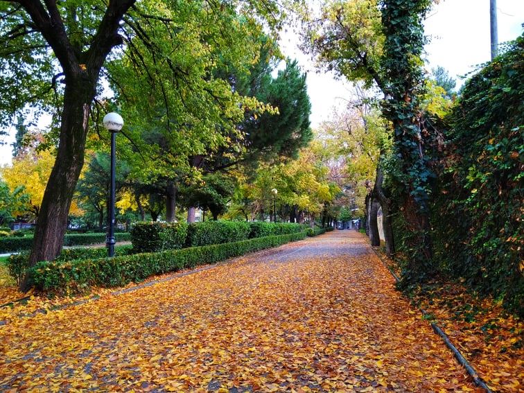 Πόσο «πράσινη» πόλη είναι η Λάρισα;