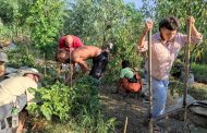 Γιορτή ανοιχτού αγροκτήματος έξω από τη Λάρισα